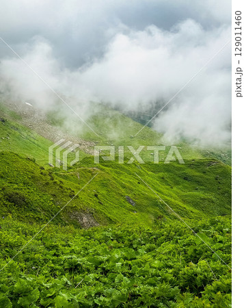 Low clouds over the mountains, vertical view Low clouds over the mountains, vertical view 129011460
