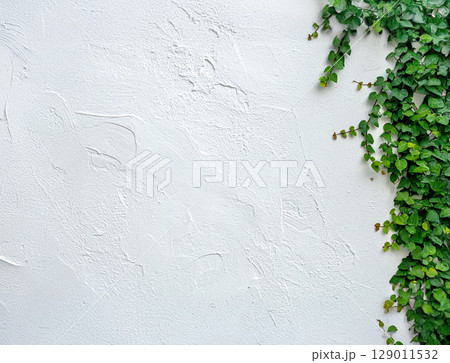 白い壁と蔦 129011532