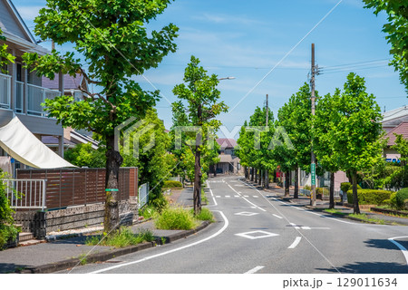 閑静な住宅街 美しい街路樹 閑静な住宅街 美しい街路樹 129011634