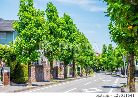 閑静な住宅街 電柱・電線の無い街 閑静な住宅街 電柱・電線の無い街 129011641