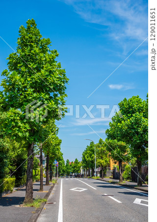 閑静な住宅街　電柱・電線の無い街 129011651