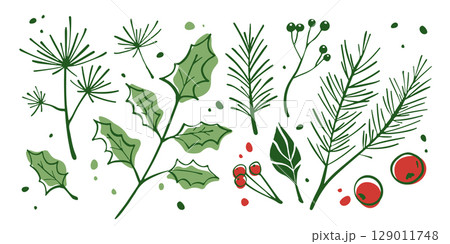 Winter botanical elements 129011748
