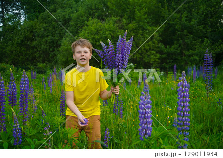A joyful child in yellow is captured in a scenic outdoor setting among blooming lupines. 129011934