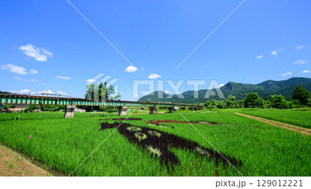 秋田内陸線 沿線の田んぼアート 秋田県 秋田内陸線 沿線の田んぼアート 秋田県 129012221