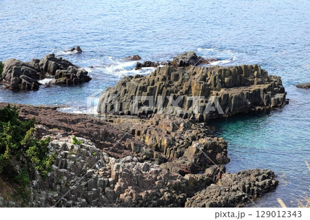 伊豆半島 爪木崎 俵磯 伊豆半島 爪木崎 俵磯 129012343