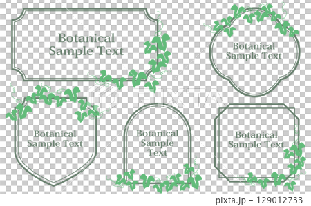 常春藤植物美麗的葉子裝飾設計框架插圖素材集 129012733