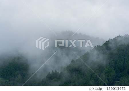 梅雨の雨が山に霧を作る29 129013471