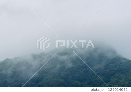 梅雨の雨が山に霧を作る02 梅雨の雨が山に霧を作る02 129014032