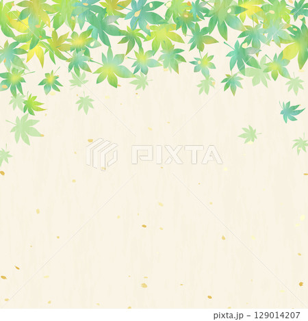 緑のグラデーションが美しい青紅葉と和紙のベクター背景イラスト	 129014207