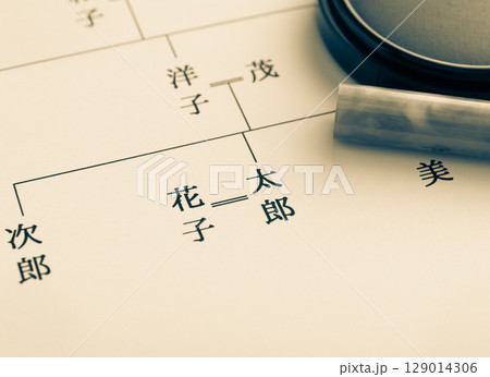 家系図　夫婦　結婚　戸籍　DINKs　共働き 129014306