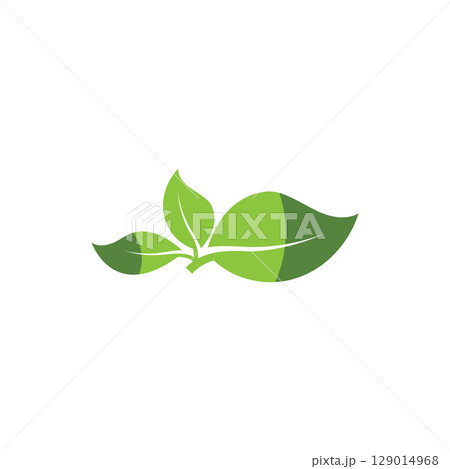 Natural leaf logo, icon illustration 129014968