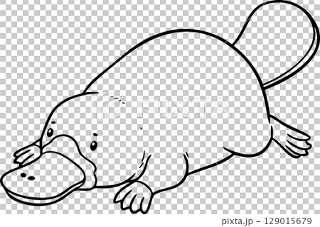 Platypus Resting Coloring Page 129015679