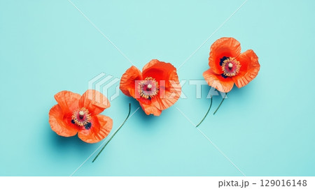 Orange poppies on blue 129016148