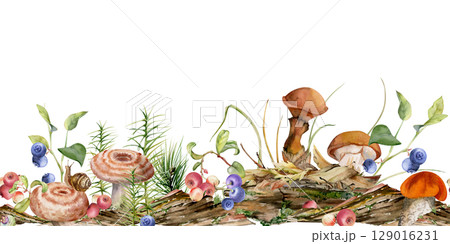 Suillus larch bolete slippery jack milk-cap mushroom, blackberry cranberry on bark, moss lichen growth, fallen autumn leaves twigs needles. Hand drawn watercolor seamless banner. Autumn forest floor Suillus larch bolete slippery jack milk-cap mushroom, blackberry cranberry on bark, moss lichen growth, fallen autumn leaves twigs needles. Hand drawn watercolor seamless banner. Autumn forest floor 129016231
