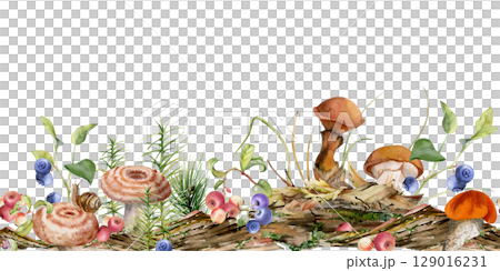 Suillus larch bolete slippery jack milk-cap mushroom, blackberry cranberry on bark, moss lichen growth, fallen autumn leaves twigs needles. Hand drawn watercolor seamless banner. Autumn forest floor Suillus larch bolete slippery jack milk-cap mushroom, blackberry cranberry on bark, moss lichen growth, fallen autumn leaves twigs needles. Hand drawn watercolor seamless banner. Autumn forest floor 129016231
