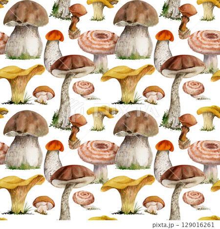 Russula webcap birch bolete suillus slippery jack golden chanterelle girolle fungi. Mushroom natural seamless pattern tile hand drawn in watercolor. Linens tablecloth gift wrapping paper, backgrounds 129016261