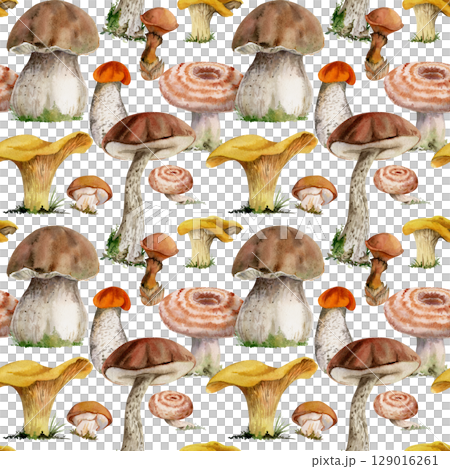 Russula webcap birch bolete suillus slippery jack golden chanterelle girolle fungi. Mushroom natural seamless pattern tile hand drawn in watercolor. Linens tablecloth gift wrapping paper, backgrounds 129016261