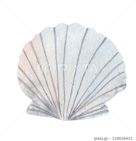 Watercolor illustration of a seashell on a white background. Hand drawn marine element for ocean-themed designs, cards, patterns, and beach decorations 129016431