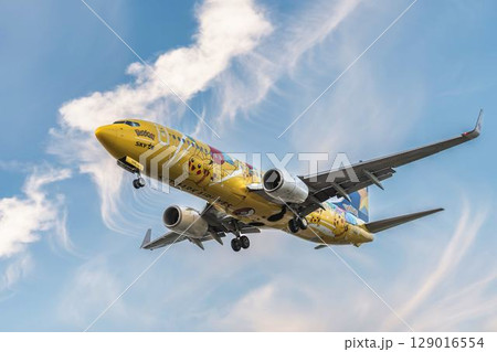 夕暮れの仙台空港 着陸中の飛行機 宮城県名取市 夕暮れの仙台空港 着陸中の飛行機 宮城県名取市 129016554