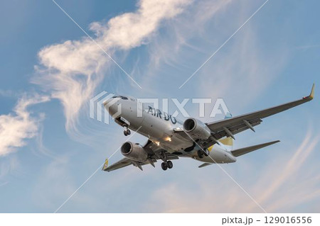夕暮れの仙台空港 着陸中の飛行機 宮城県名取市 夕暮れの仙台空港 着陸中の飛行機 宮城県名取市 129016556