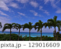 南国の夏と青い海 129016609