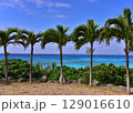 南国の夏と青い海 129016610