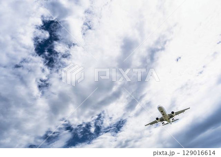 朝の仙台空港　着陸中の飛行機　宮城県名取市 129016614