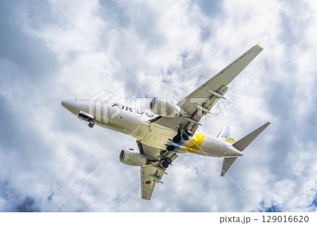 朝の仙台空港 着陸中の飛行機 宮城県名取市 朝の仙台空港 着陸中の飛行機 宮城県名取市 129016620