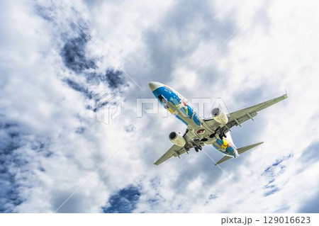 朝の仙台空港 着陸中の飛行機 宮城県名取市 朝の仙台空港 着陸中の飛行機 宮城県名取市 129016623