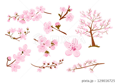 Set of blooming cherry blossom branches and tree with delicate pink flowers Set of blooming cherry blossom branches and tree with delicate pink flowers 129016725