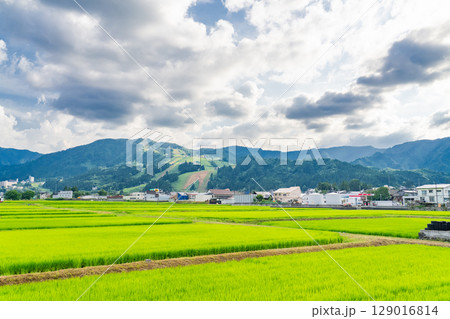 《新潟県》夏の田園風景・魚沼の大地 129016814