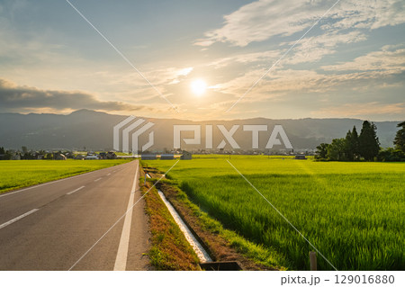 《新潟県》夏の田園風景・魚沼の大地 129016880