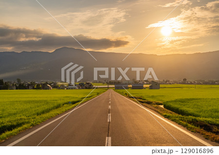 《新潟県》夏の田園風景・魚沼の大地 《新潟県》夏の田園風景・魚沼の大地 129016896