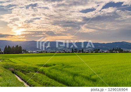 《新潟県》夏の田園風景・魚沼の大地 《新潟県》夏の田園風景・魚沼の大地 129016904