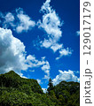夏の空 夏の空 129017179