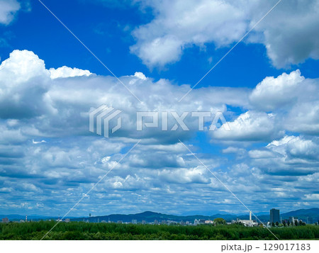 夏の空 夏の空 129017183