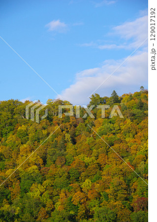 山の紅葉イメージ 山の紅葉イメージ 129017192