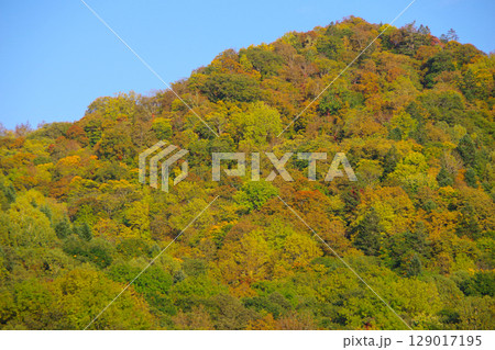 山の紅葉イメージ 129017195