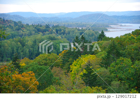 北海道幌加内町　国道275号線沿いにある展望台から朱鞠内湖を望む 129017212