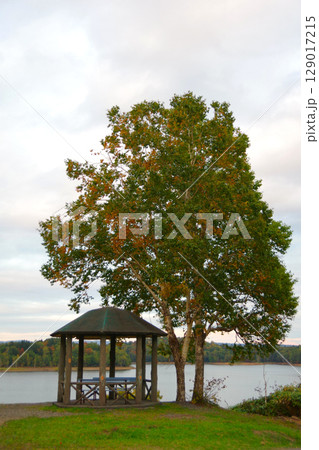 北海道幌加内町　夕暮れの朱鞠内湖展望台 129017215