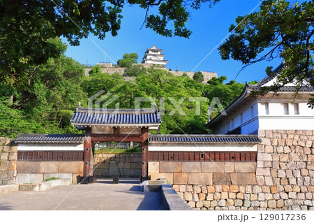 【香川県】北側内堀から見た五月晴れの丸亀城（現存天守と石垣の名城） 129017236
