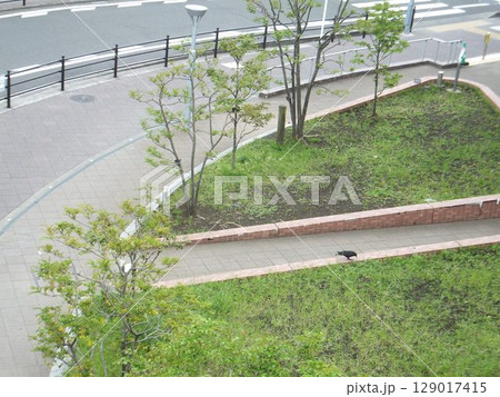 一車線の右カーブと歩道と緑地 一車線の右カーブと歩道と緑地 129017415