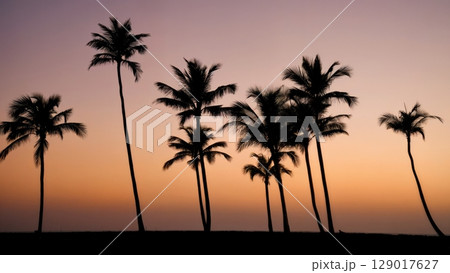 Palm Trees Silhouette, Tropical Icon, Exotic Destination, Peaceful View. Ideal for travel advertising, vacation themes, natural beauty Palm Trees Silhouette, Tropical Icon, Exotic Destination, Peaceful View. Ideal for travel advertising, vacation themes, natural beauty 129017627
