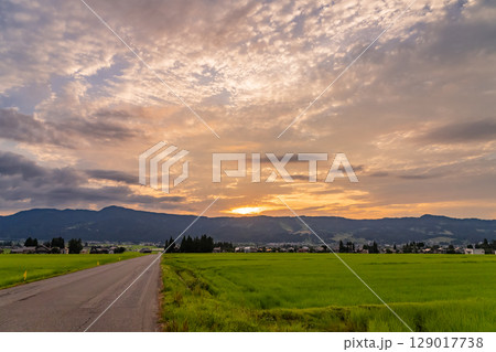 《新潟県》夏の田園風景の夕暮れ・魚沼の大地 129017738