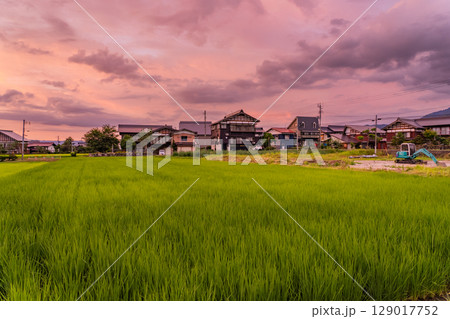 《新潟県》夏の田園風景の夕暮れ・魚沼の大地 《新潟県》夏の田園風景の夕暮れ・魚沼の大地 129017752