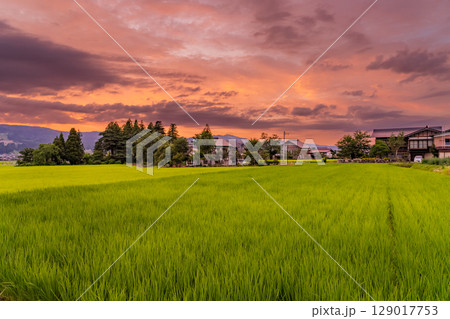 《新潟県》夏の田園風景の夕暮れ・魚沼の大地 129017753