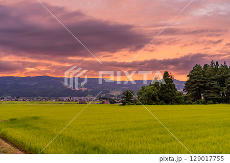 《新潟県》夏の田園風景の夕暮れ・魚沼の大地 《新潟県》夏の田園風景の夕暮れ・魚沼の大地 129017755