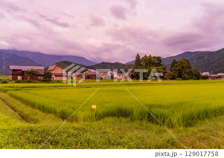 《新潟県》夏の田園風景の夕暮れ・魚沼の大地 《新潟県》夏の田園風景の夕暮れ・魚沼の大地 129017758