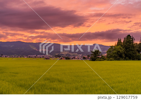 《新潟県》夏の田園風景の夕暮れ・魚沼の大地 《新潟県》夏の田園風景の夕暮れ・魚沼の大地 129017759