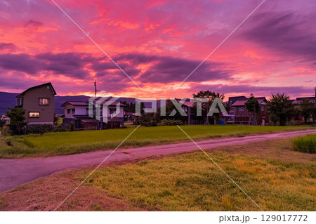 《新潟県》夏の田園風景の夕暮れ・魚沼の大地 129017772